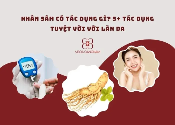 Nhân sâm có tác dụng gì?