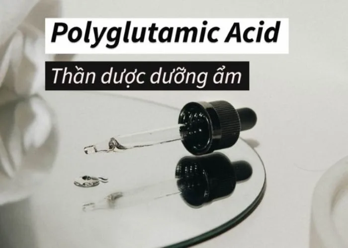 Polyglutamic acid là gì?