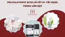 Tác dụng của Polyglutamic Acid trong làm đẹp