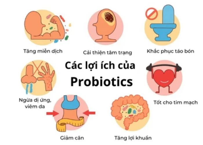 Tác dụng của probiotic cho sức khỏe con người