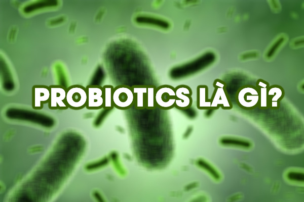 Probiotic là gì?