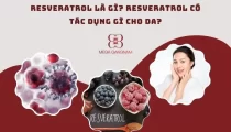 Tác dụng của Resveratrol