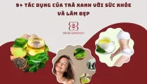 Tác dụng của trà xanh với sức khỏe