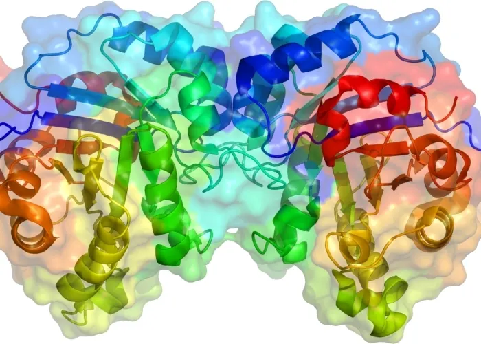 Enzyme là gì?