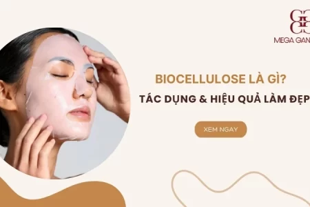 Biocellulose là gì? Tác dụng và hiệu quả làm đẹp da