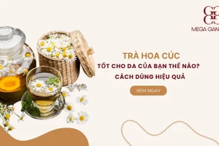 Trà hoa cúc tốt cho da của bạn thế nào? Cách dùng hiệu quả 
