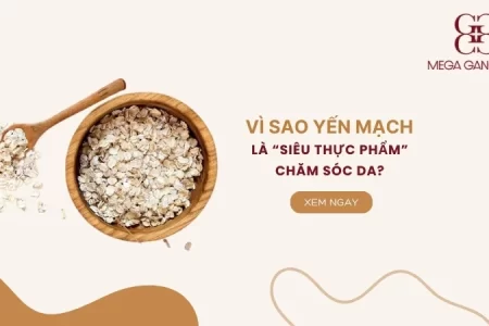 Tại sao yến mạch được coi là “siêu thực phẩm” chăm sóc da?