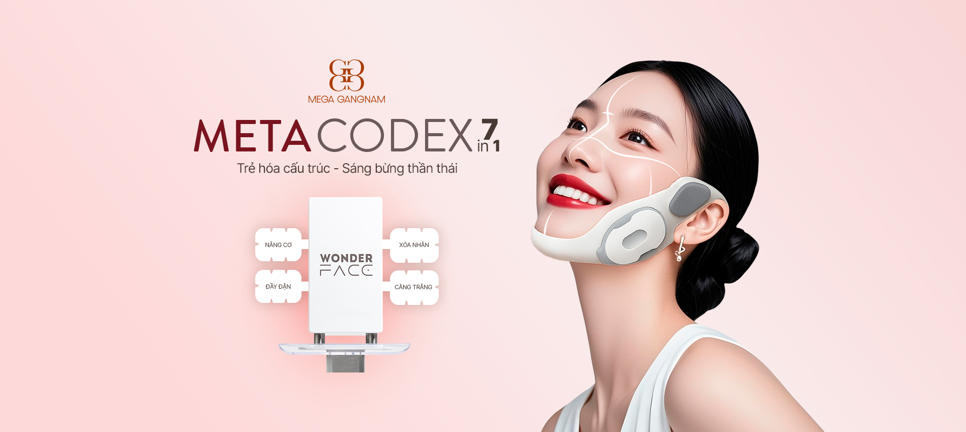 KV-Meta-Codex-website-desktop