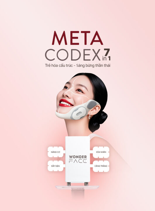 KV-Meta-Codex-website-mobile