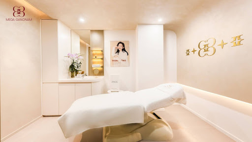 anh-co-so-megagangnam5